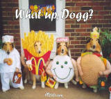 Doggy Costumes funny picture
