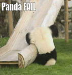 Panda FAIL funny picture