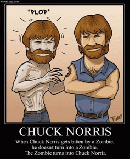 Haha, Chuck Norris