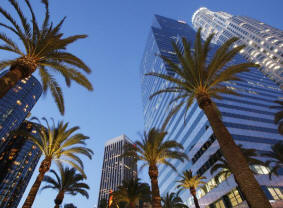 LA