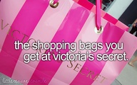 The shopping bags you get at Victoria's Secret.