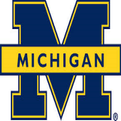 Michigan's Logo