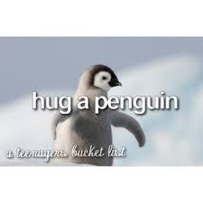 Hug a Penguin!