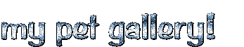 glittertextmaker.info
