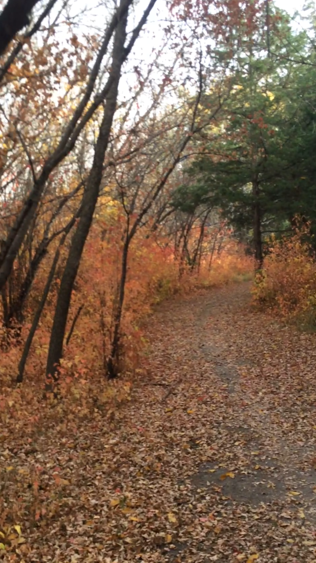 Hiking