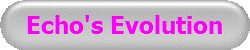 Echo's Evolution