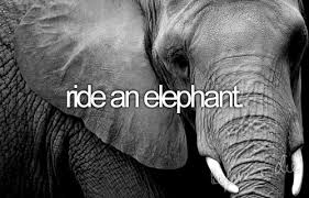 ride an elephant